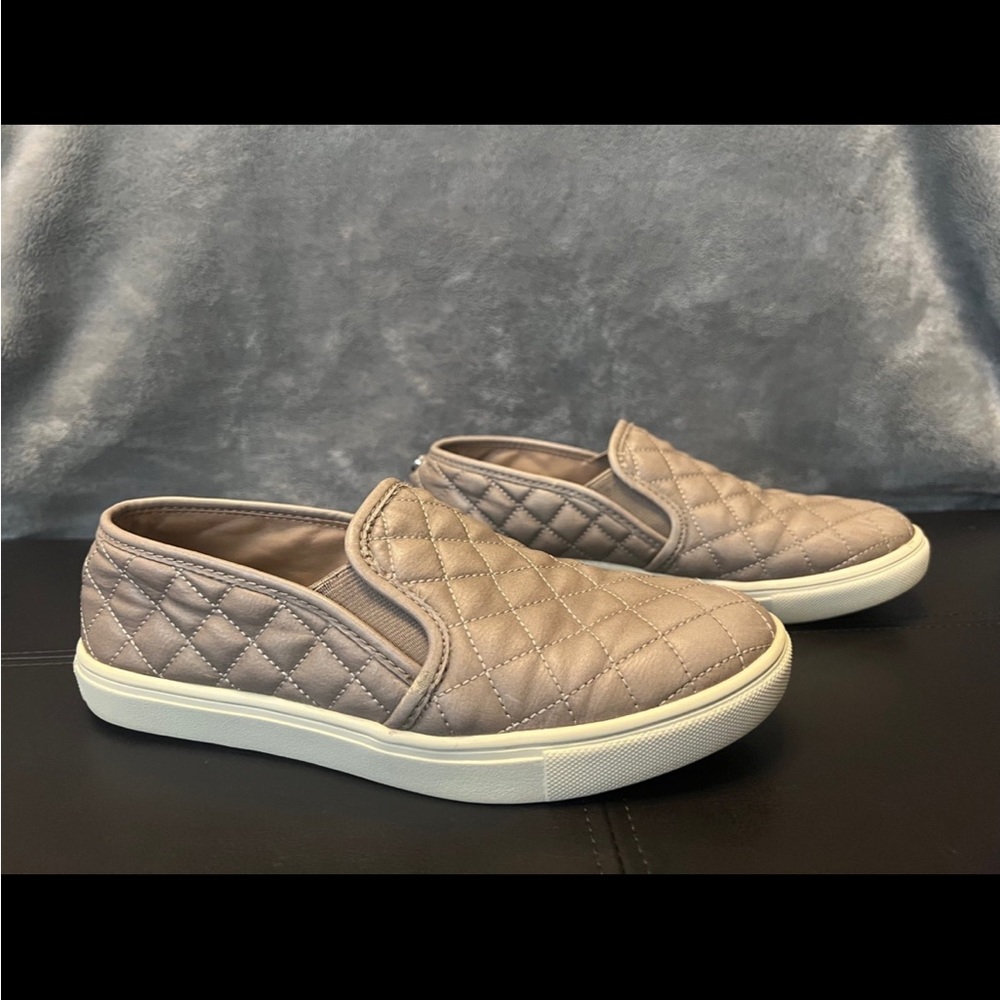 Steve Madden Ecentrcq‎ Shoes